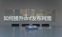 如何提升dnf发布网宠物的等级技巧
