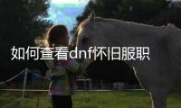 如何查看dnf怀旧服职业战斗力